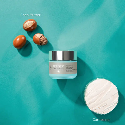 Amway Artistry Skin Nutrition Renewing Reactivation Day Cream